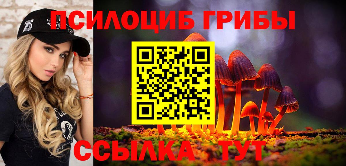 Псилоцибиновые грибы Cubensis Гусев