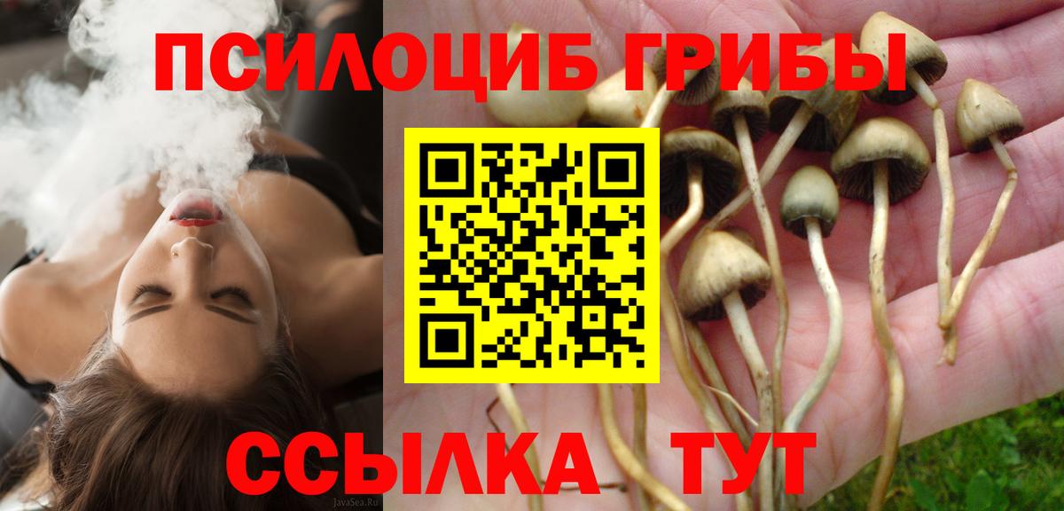 Галлюциногенные грибы Psilocybe  Галлюциногенные грибы MAGIC MUSHROOMS  даркнет сайт  Гусев  Вход с VPN 
